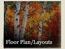 Photo of Birch tree trunks on background of multicolored autumn leaves - with words &quot;Floor Plans / Layouts&quot;