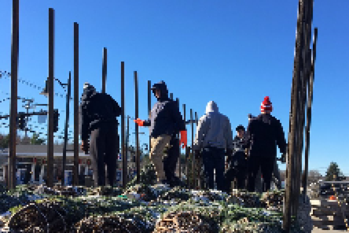 Medway highschool hockey team helps unload trees