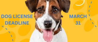 Deadline to license/renew your Dog License  