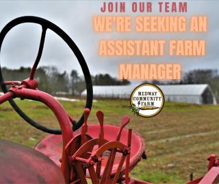 Medway Community Farm Seeks Assistant Farm Manager