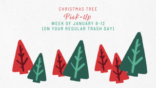 Christmas Tree Pick Up is January 8-12