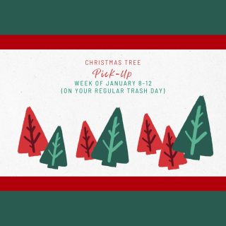 Christmas Tree Pick Up is January 8-12 (On regular pick trash day)