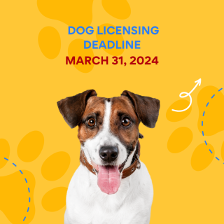 Dog License Renewal Deadline