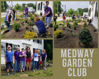 Medway Garden Club Plants Over 50 Perennials in the Garden Beds of the Ide House through Grant Funding