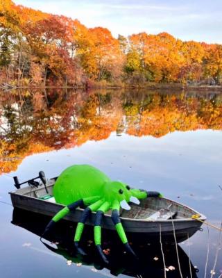 Photo Contest - Vote for Medway Parks and Rec!