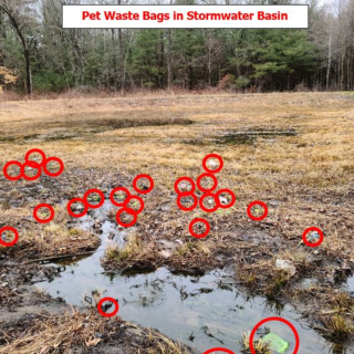 We want to thank you for picking up after your pet; HOWEVER, please DO NOT DISPOSE of pet waste bags in stormwater basins!  Pet 