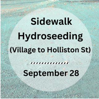 Sidewalk Hydroseeding - Thursday, September 28, 2023