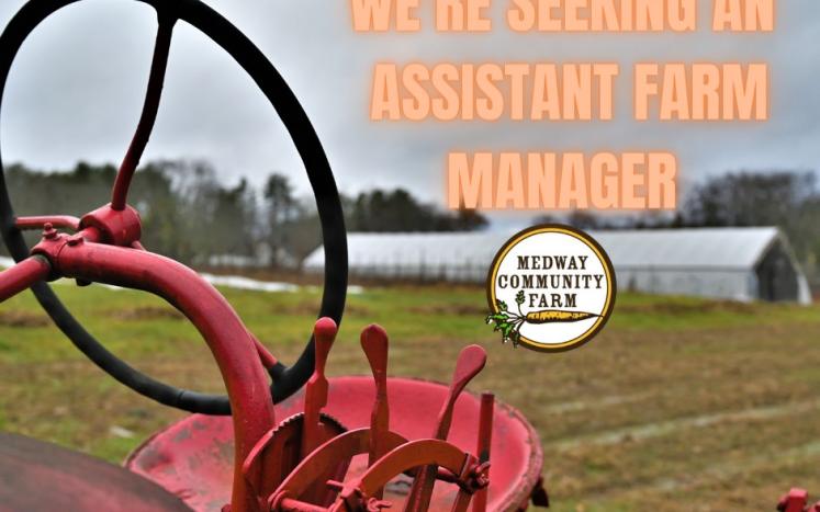 Medway Community Farm Seeks Assistant Farm Manager