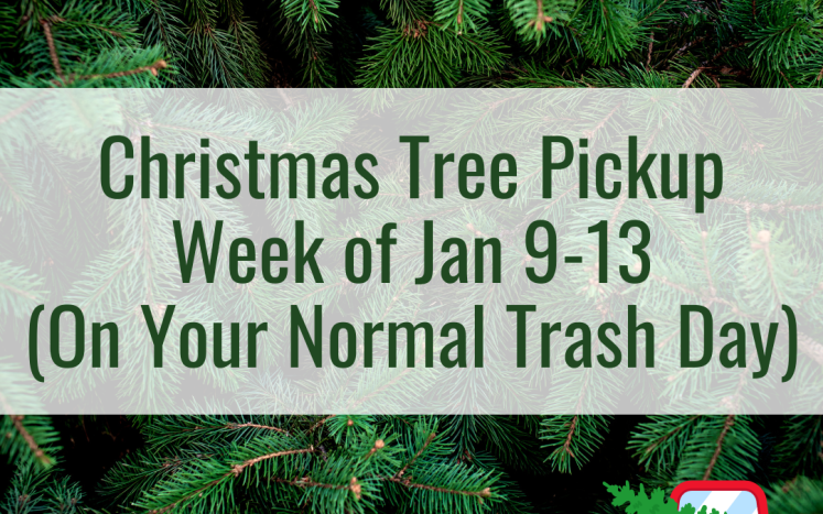 Christmas Tree Pick Up - Week of January 9-13 (on your normal trash pick up day)
