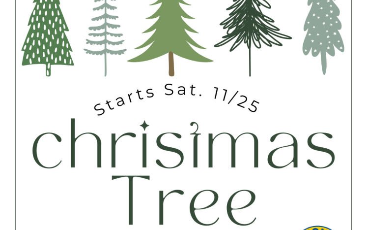 Medway Lions Christmas Tree Sales Start on Saturday, November 25