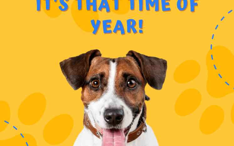2023 Dog Licensing - New & Renewals is open from January 1 throught March 31