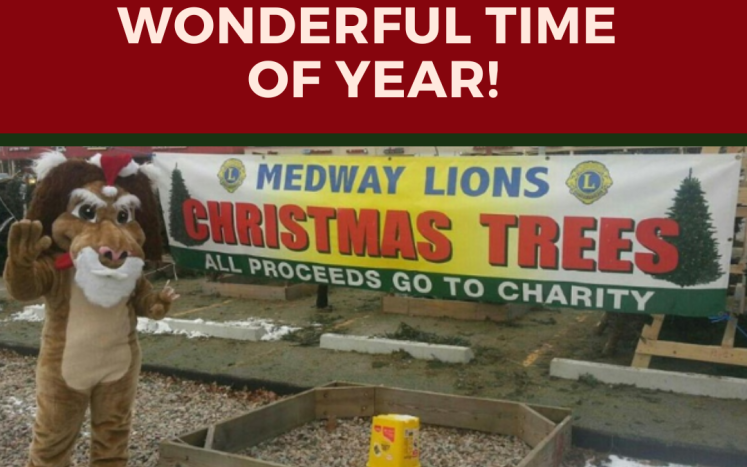 Medway Lions Club Christmas Tree Sales start Saturday, November 26 