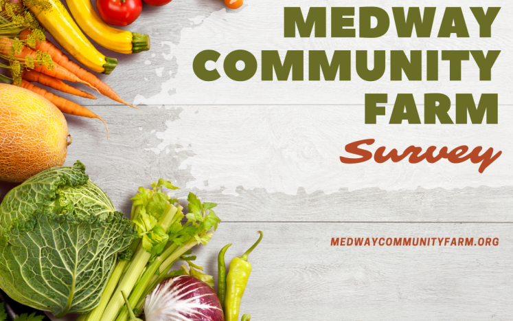 Medway Community Farm Survey
